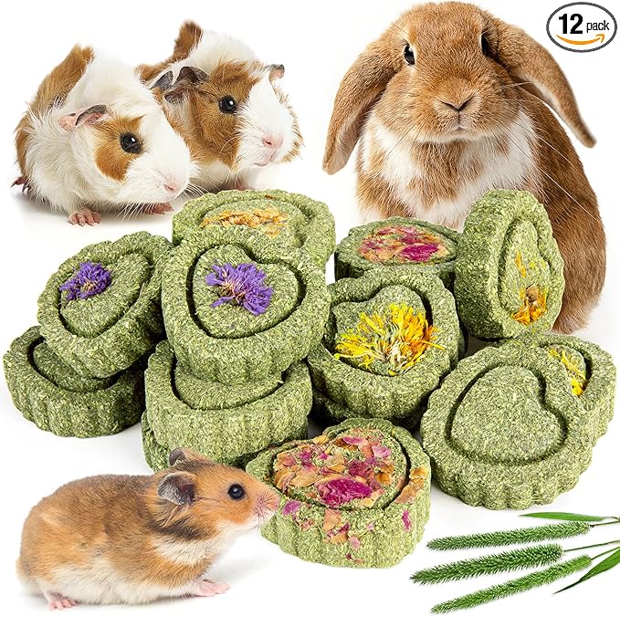 Sofier 12Pcs Timothy Hay Treats Rabbit Toys Bunny Toys Guinea Pig Natural Chews for Teeth Handmade Rabbit Chews and Treats Chinchilla Rat Hamster Gerbil