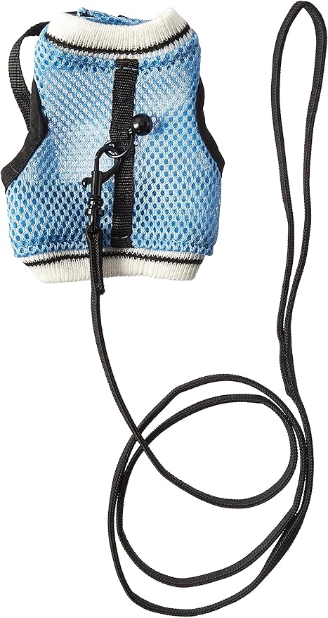 Ware Manufacturing Nylon Walk-N-Vest Pet Harness and Leash for Small Pets, Medium - Colors May Vary