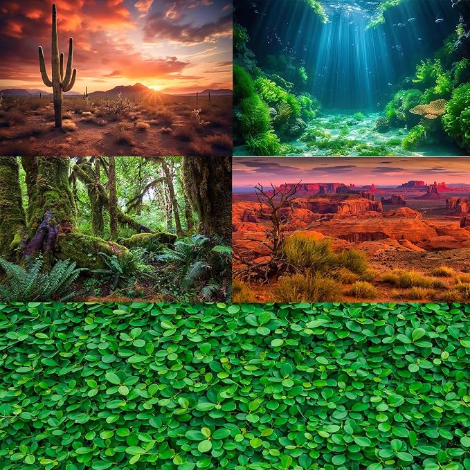 Under The Sea Aquarium Background Underwater Scene Corals Reefs Fish Tank Background Deep Ocean Sea Rock Cave Sunray Terrarium Backgrounds Underwater Marine Life Aquarium Backgrounds 36x24in