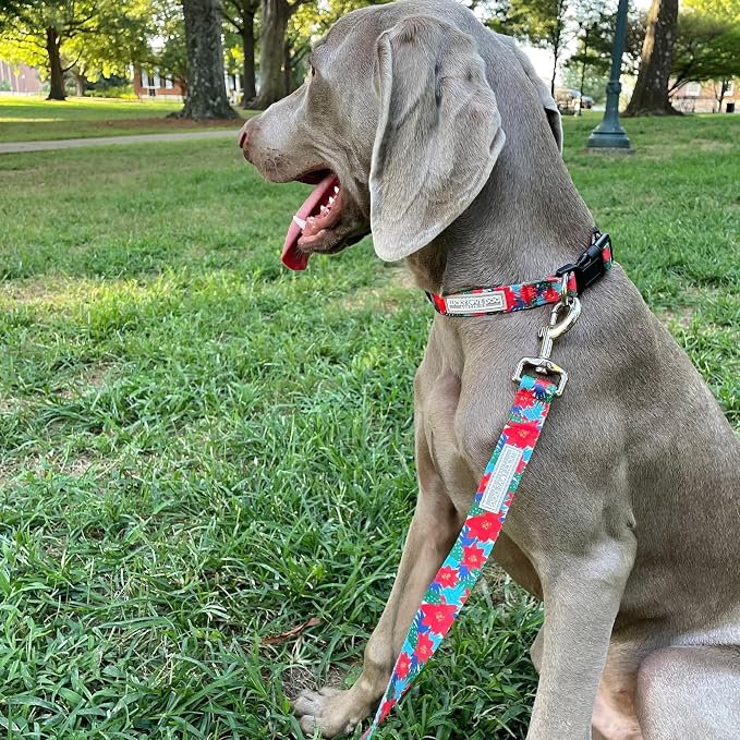 Lucky Love Dog - Easy Click Noel Dog Collar with Leash Set Combo, Durable & Comfortable for Male & Female Dogs, Pet Collar for Medium Dogs, Secure Fit - Noel Combo, Medium