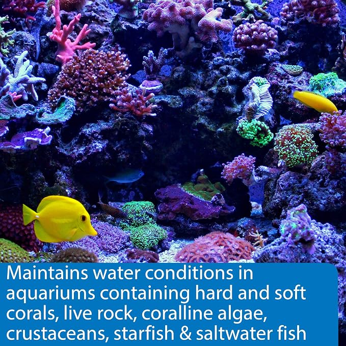 API MARINE COMPLETE TRACE Aquarium Water Conditioner 16-Ounce Bottle