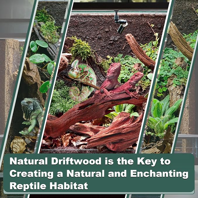 Natural Wood Driftwood for Aquarium Fish Tank Decor,Assorted Driftwood Trunk Branch for Reptile Tank Decor (MOP-ZYM Driftwood Medium (8 to12 Inch)-Pack of 1)