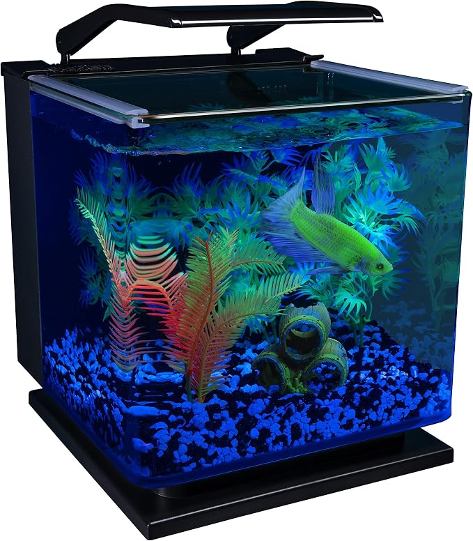 GloFish Betta Shadowbox Aquarium Kit