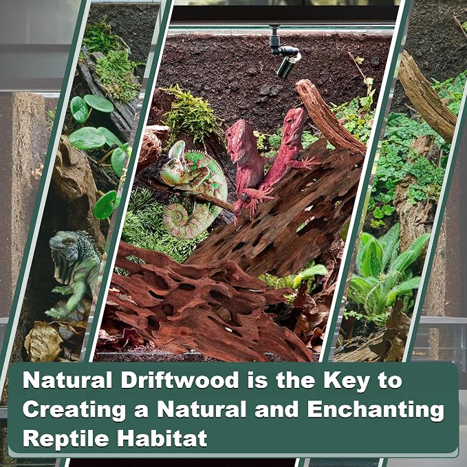 Natural Wood Driftwood for Aquarium Fish Tank Decor,Assorted Driftwood Trunk Branch for Reptile Tank Decor (SHP-XM Driftwood (6 to10 Inch)-Pack of 2)