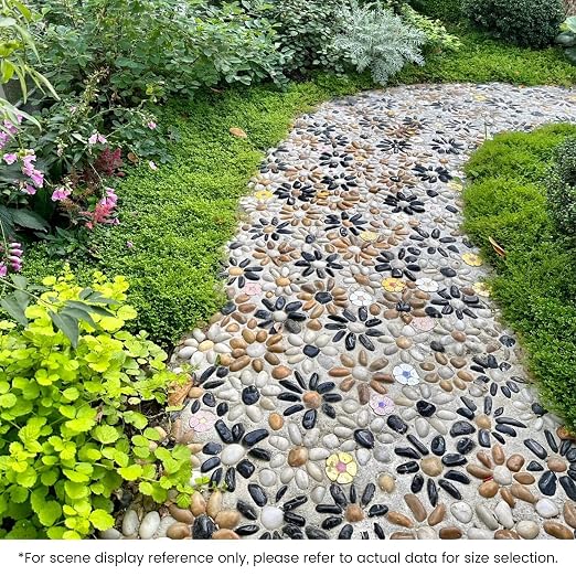 SIDONG 20 LB Mixed River Rocks, 0.3-0.5 Inches High Polished Pebbles for Indoor Plants, Aquarium Rocks Used in Fish Tank, Decorative Stones for Plants, Vases, Home Décor, Crafting, Garden Landscaping