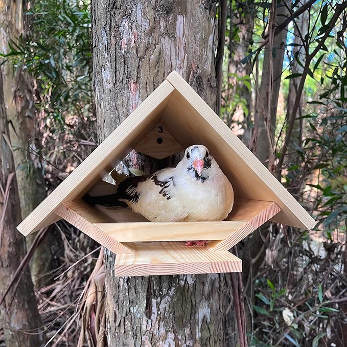 Dove Nesting Platform for Outside - Mourning Dove Nesting Box, Wooden Bird Nest for Pigeons, Open Bird Nesting Platform for Backyard Garden by Decoribles