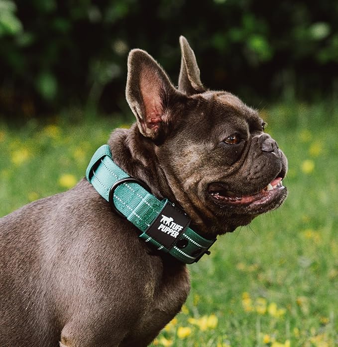 Tuff Pupper Heavy Duty Tactical Dog Collar | 1.25" Wide Ballistic Nylon | Reflective Stitching | Integrated ID Tag Holder | Stainless Steel Buckle | Padded Lining | Small & Medium Dogs (Green, Small)