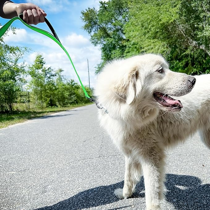 Joytale Dog Leash Heavy Duty for Large Dogs that Pull, Double Handle for Traffic Control, Double-Sided Reflective Leashes for Large Medium Dogs Night Safety, 6FT, Green