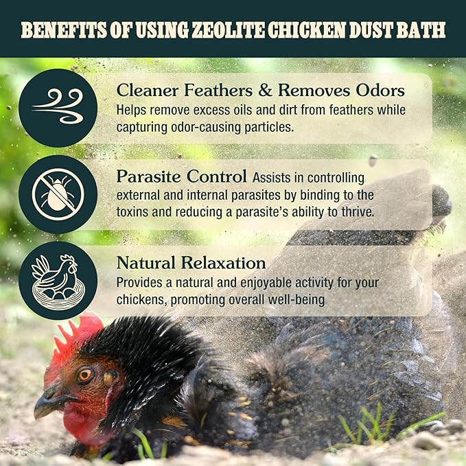 Zeolite Chicken Dust Bath, 12 lb | All-Natural Finely Milled Zeolite Dust | Natural Kraft Box Packaging | Made in The USA