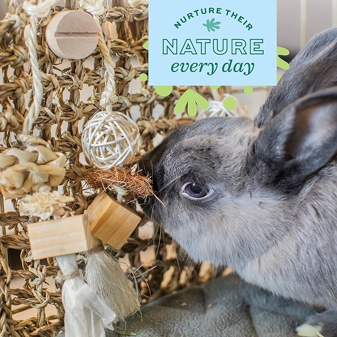 Oxbow Enriched Life Play Wall, Rabbit & Guinea Pig Toy, Enrichment for Bunny, Guinea Pig, Hamster, Rabbit, Chinchilla, Rat, Chinchilla Cage Accessories, Bunny Accessories for Cage, Small