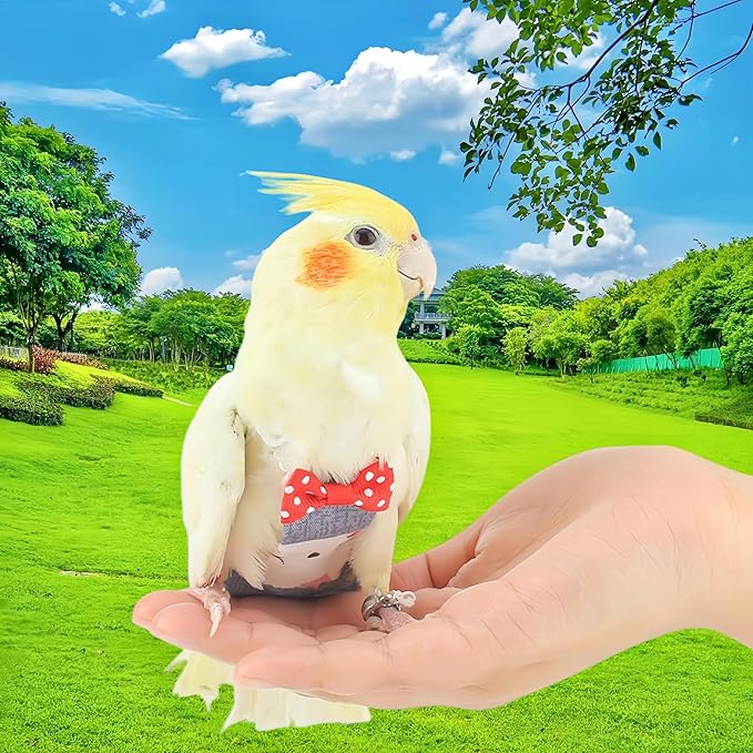 2Pcs Bird Diapers Bird Harness Flight Suits Diapers with 80 Inch Flying Leash Parrot Nappy Washable Cute Urine Wet Suit for Cockatiel Conure Macaw Budgies Parakeet-Kitten&Watermelon,S