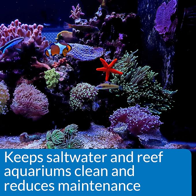 API Marine Stress Zyme Saltwater Aquarium Cleaning Solution 16-Ounce Bottle