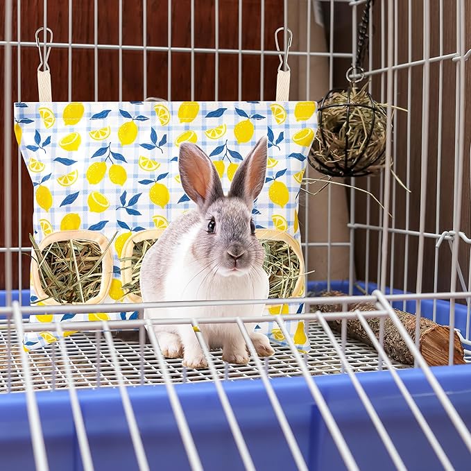 Lesnala 2pcs Bunny hay feeder Rabbit hay feeder bag Hanging guinea pig hay bag Large capacity cotton canvas fabric hay bag for Rabbits Bunny Chinchillas Hamsters and Other Small Pets(3 Holes,2 styles)