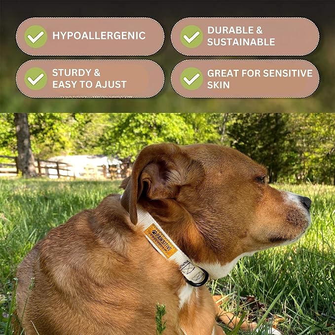 Pawsitive Hemp Dog Collar - Super Soft Hypoallergenic Lining. Great for Small, Medium and Large Dogs; Medium Night Blue