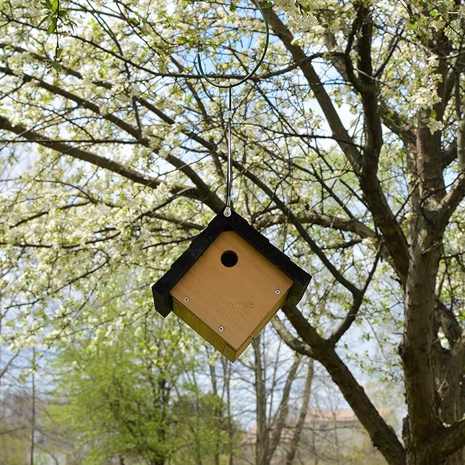 Nature's Way Bird Products CWH1 Cedar Wren House, 8" x 8.875" x 8.125", standard, Brown