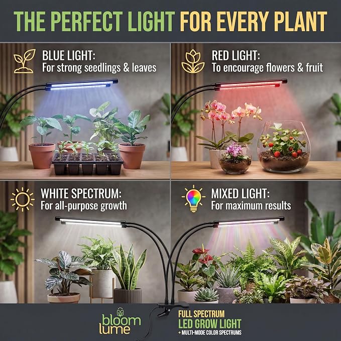 Bloom Lume LED Grow Lights for Indoor Plants Full Spectrum 6000K - Plant Grow Lights Indoor Features Multi Mode Color Spectrums (Red, White & Blue), Dimmable, Auto Timer, Clip on Gooseneck Plant Lamp