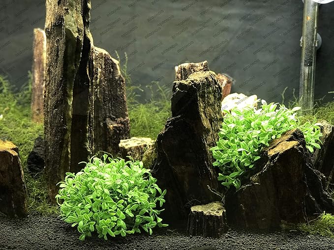 Aquarium Decorations Fish Tank Artificial Green Water Plants Made of Soft Plastic, Safe for All Fish & Pets (Style-3)