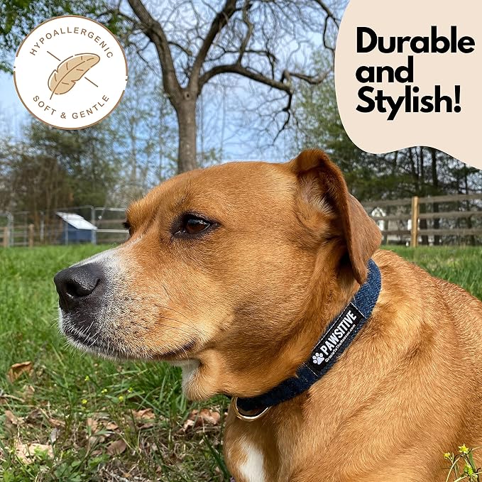 Pawsitive Wool Dog Collar - Hypoallergenic Dog Collar, Great Dog Collar for Sensitive Skin, Soft Collar for Dogs, Soft Organic Dog Collar Eco-Friendly (Large, Gray & Leash)