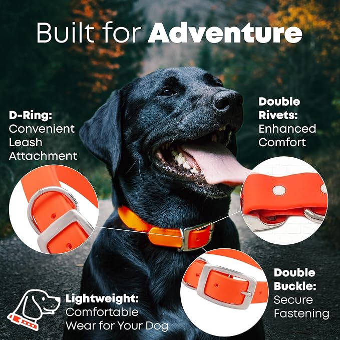 Regal Dog Products Large Orange Dog Collar with Heavy Duty Double Buckle & D Ring | Vinyl Coated, Custom Fit, Adjustable Biothane Dog Collar | Chew Resistant Waterproof Collar for Dogs