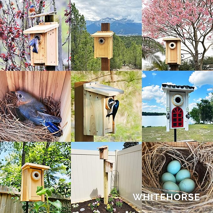 WHITEHORSE Bird House with Pole and 28" Baffle - A Bluebird House Built to NABS Specs - Nestbox for Various Songbird Species - Bluebird Box House - Weatherproof Bird Houses for Outdoors (15” Floor)