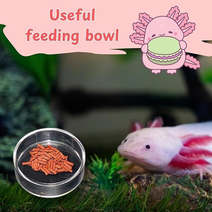 Axolotl Hides for Aquarium with Feeding Dish and Fake Plants Set, Axolotl Cave with Green Plants, Aquarium Decor, Fish Tank Decorations, Turtle Tank Accessories (Cave+Plant+Feeding Dish, L)