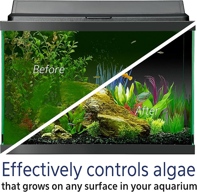 Aqueon Fish Tank Aquarium Algae Remover, 4 oz | Fish tank algae remover for freshwater aquariums with fish and plants; controls green water blooms and decor algae