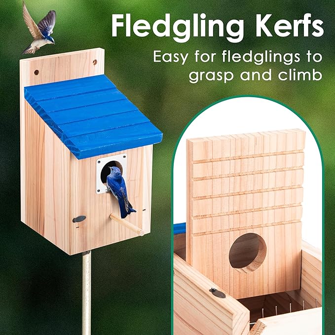 Dreyoo Cedar Bluebird Box Houses for Outside, 1-1/2'' Entrance Hole Wooden Bird Houses with Metal Guard, Secure Latch, Fledgling Grooves, Air Vents for Bluebird Wren Swallow (2 Pack)