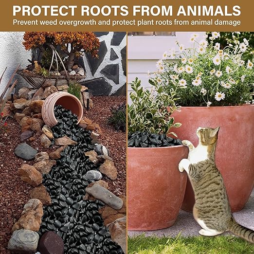 12lb Black River Rocks for Plants Indoor, 1-2Inch Pebbles for Vases Fillers, Decorative Gravel for Fish Tank, Natural Polished Stones for Succulent, Bonsai, Landscaping, Bird Baths
