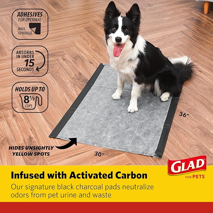 Glad for Pets Day to Night Activated Carbon Puppy Training Pads, Odor Control Disposable Dog Pads with Adhesive and Wall Protection, Leak Proof and Super Absorbent, 30 x 36 Inch, 24 Count