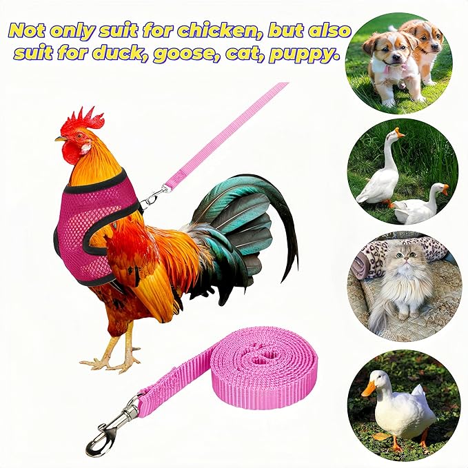 3 Pack Chicken Harness and Leash Set Adjustable Hen Vest with Matching Belt Breathable Mesh Training Harness Pets Leash for Hens Duck Goose Small Pet-Black&Red&Pink,S