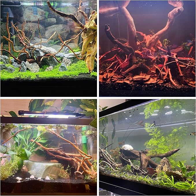 Azil Natural Aquarium Driftwood Root – Driftwood for Aquarium Decor, 170g~0.38lb (14″–16″), Fish Tanks, Terrariums, Aquascaping & Planted Tanks