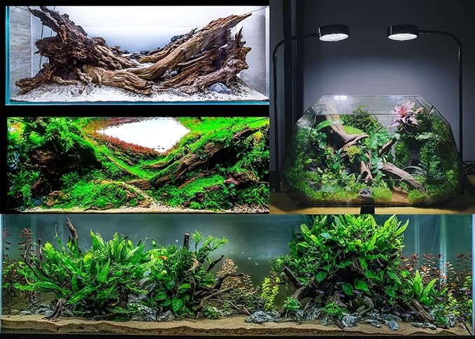 Azil Natural Driftwood 6'' - 8''(3pcs) Perfect Aquarium Decoration! Ideal for Fish Tanks, Freshwater Aquariums, terrariums, aquascaping, hardscaping,Aquatic Plants.