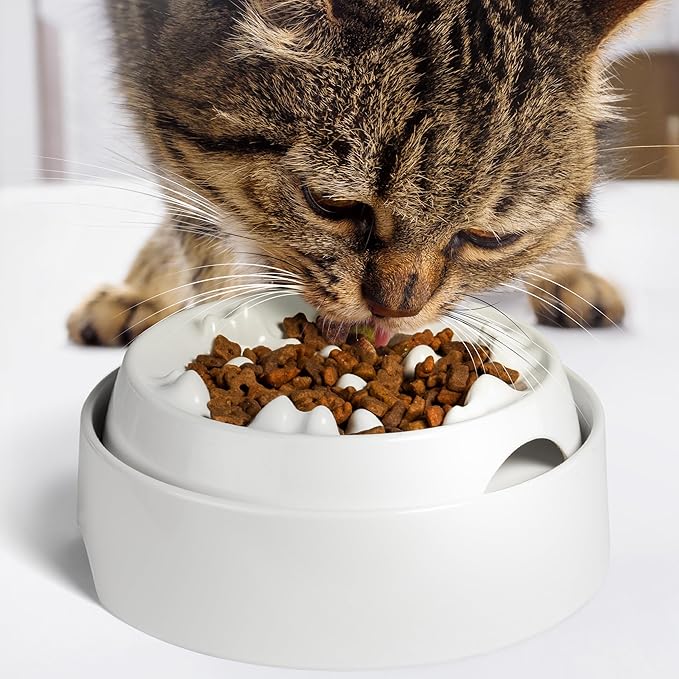 CatGuru Cat Bowls, Whisker Friendly Food Bowl for Indoor Cats, Reliefs Whisker Fatigue, Wide Kitten Dish, Non Slip Pet Dishes, Shallow Pet Plates