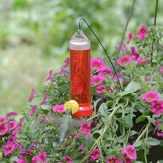 Perky-Pet Planter Box Plastic Hummingbird Feeder with Hanging Rod, 3 Fl Oz Capacity - Humming bird Feeder for Outdoors, 215P