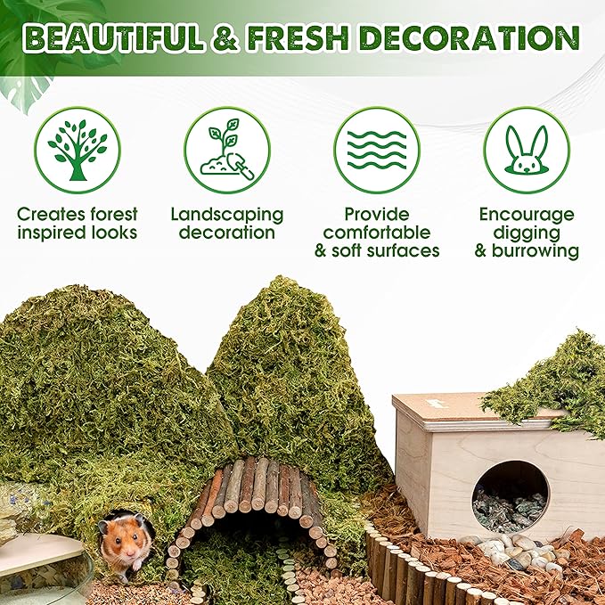 Duspro 5oz Hamster Bedding, Natural Forest Moss Bedding for Hamster, Hamster Bedding Odor Control, Decorate Hamster Hideout with Moss.