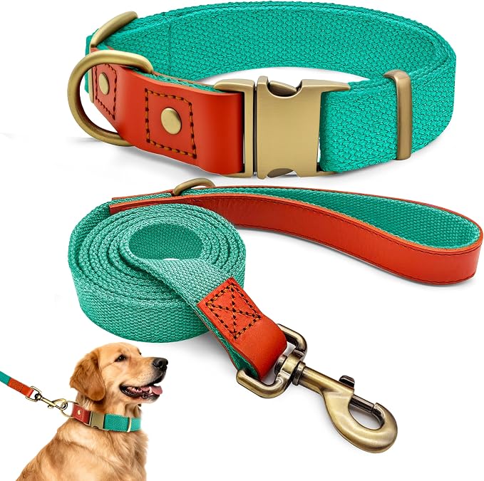 Dog Collar and Leash Set with Metal Quick Release Buckle, Adjustable, Breathable Nylon, Durable, Soft and Comfortable, No Pull for Walking and Training, Cyan, XL (16.9"-26")