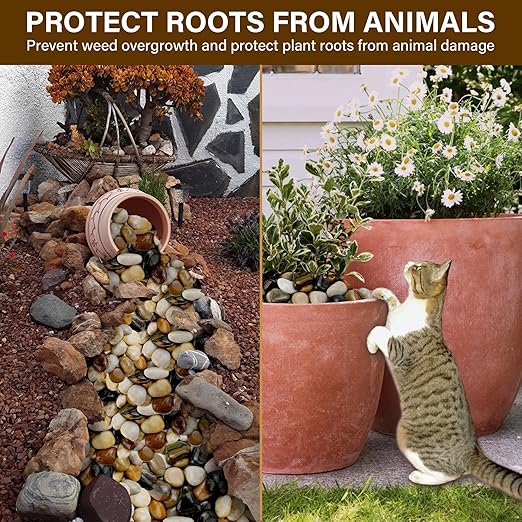 NUPICK 16lb Mix River Rocks for Outdoor Landscaping, 2-3 Inch Pebbles for Indoor Plants, Natural Polished Aquarium Gravel, Decorative Rocks for Succulent, Garden, Vases Fillers, Bird Baths