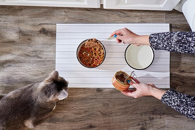Pearhead Ceramic Cat Bowl, Holds 12 oz, Whisker-Friendly Pet Dish for Food and Water, Cute Cat Face Design