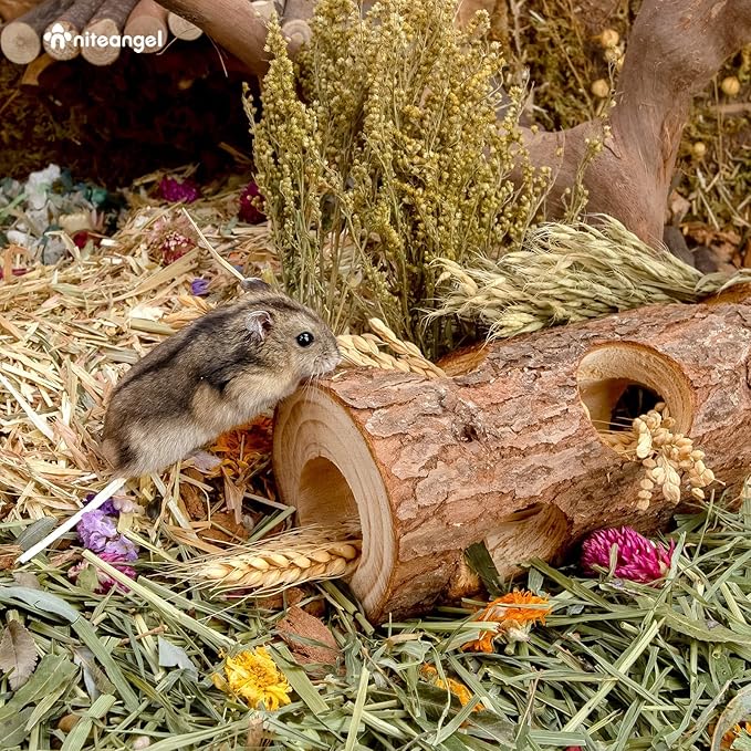 Niteangel Natural Wooden Hamster Mouse Tunnel Tube Toy Forest Hollow Tree Trunk