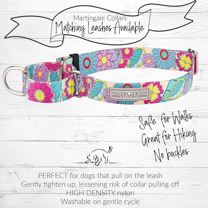 Lucky Love Dog Martingale Collar and Leash Set, Premium No Slip Martingale Collar for Dogs, Great for Whippets, Greyhounds, and More (Caroline, Small - Combo)