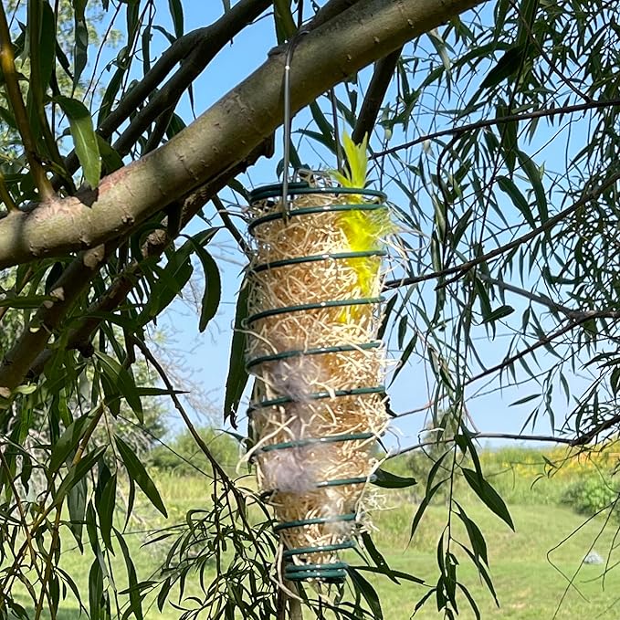 Songbird Essentials Nesting Material