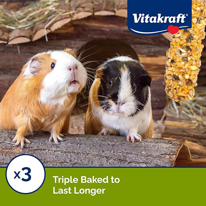 Vitakraft Guinea Pig Fruit & Honey Treat Sticks, 3.5 Ounce, Enriched Snack with Wooden Chew Core for Dental Health, 2 Count (Pack of 2)