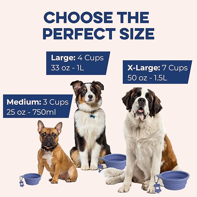 Bonza Collapsible Dog Bowls - Large 33 oz, Dog Travel Accessories, Silicone Portable Dogs Bowl & Water Dish with Reinforced Rim & Carabiner for Hiking, Camping, and Car Trips, Moss Periwinkle