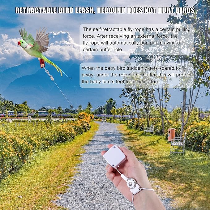 Retractable Bird Leash, 6.56ft Bird Harness with 3 Sizes of Foot Rings Parakeet Flying Ankle Harness Parrot Leg Leash Outdoor Flying Training Supplies Kit for Cockatiels Budgies (White)