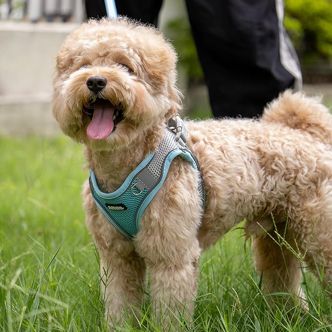 AIITLE Escape Proof Dog Harness - Step in Adjustable Dog Harness No Choke Over with Breathable Mesh and Quick-Release Buckle for All Weather- Outdoor Walking, Training for Medium Dogs Blue XL