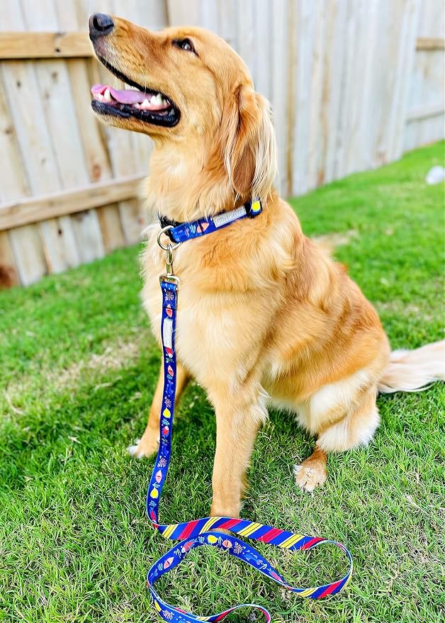 Lucky Love Dog - Easy Click Buckle Dog Collar with Leash Set Combo, Durable & Comfortable for Male & Female Dogs, Pet Collar for Medium Dogs, Secure Fit - Mackey Combo, Medium