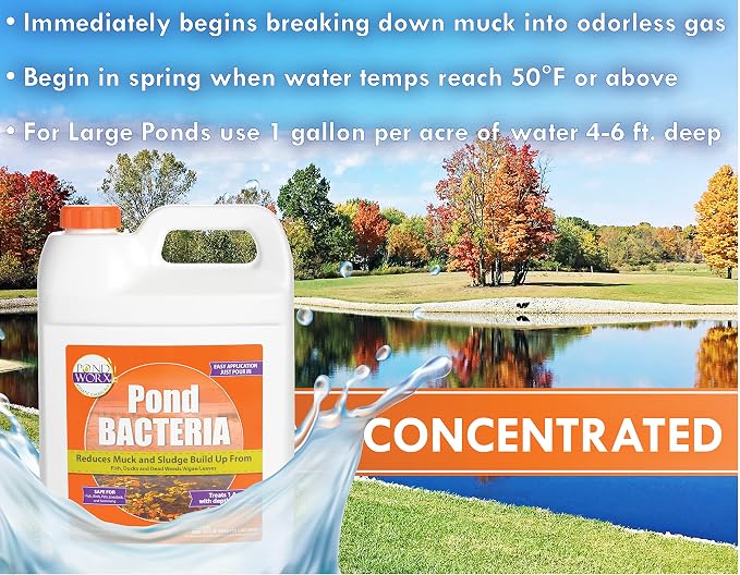 PondWorx Pond Bacteria - Formulated for Large Ponds, Water Features and Safe for Koi - Gallon (Pack of 2)
