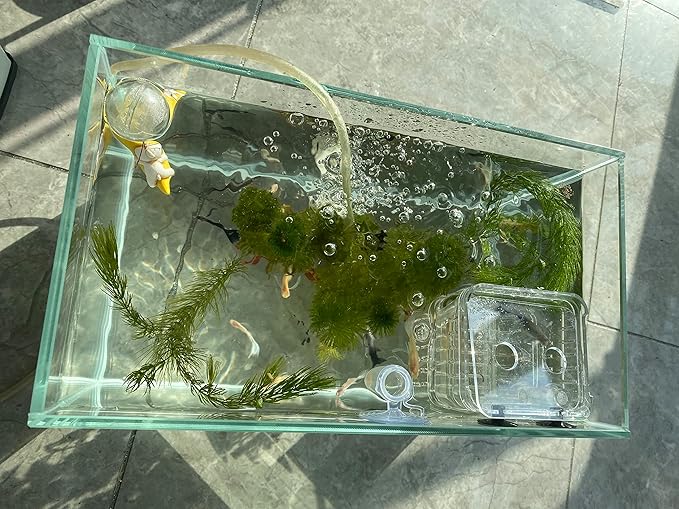 AWXZOM Small Nano Tall Rimless Tank, Glass Fish Tank, Betta Fish Tank, Aquarium (2.85 Gal, 11.8x6.7x7.8 inch)