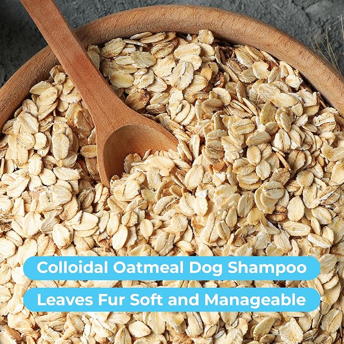 Pawtitas Dog Shampoo and Conditioner All Natural and Hypoallergenic Shampoo for Puppy Made with Certified Organic Natural Herbs Dog Conditioner - 16 Oz Dog Shampoo Made with Eucalyptus & Spearmint