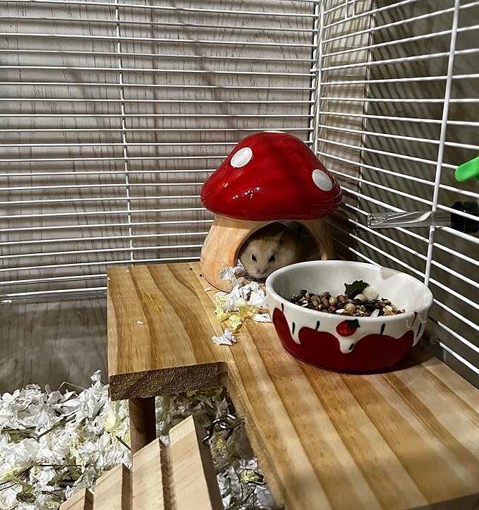 YZHZOM Ceramic Hamster Hideout - Small Animal Houses & Habitats for Mice, Gerbils, Lemmings or Other Small Pets - Accessories
